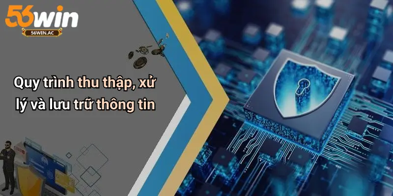 Quy trình thu thập, xử lý và lưu trữ thông tin
